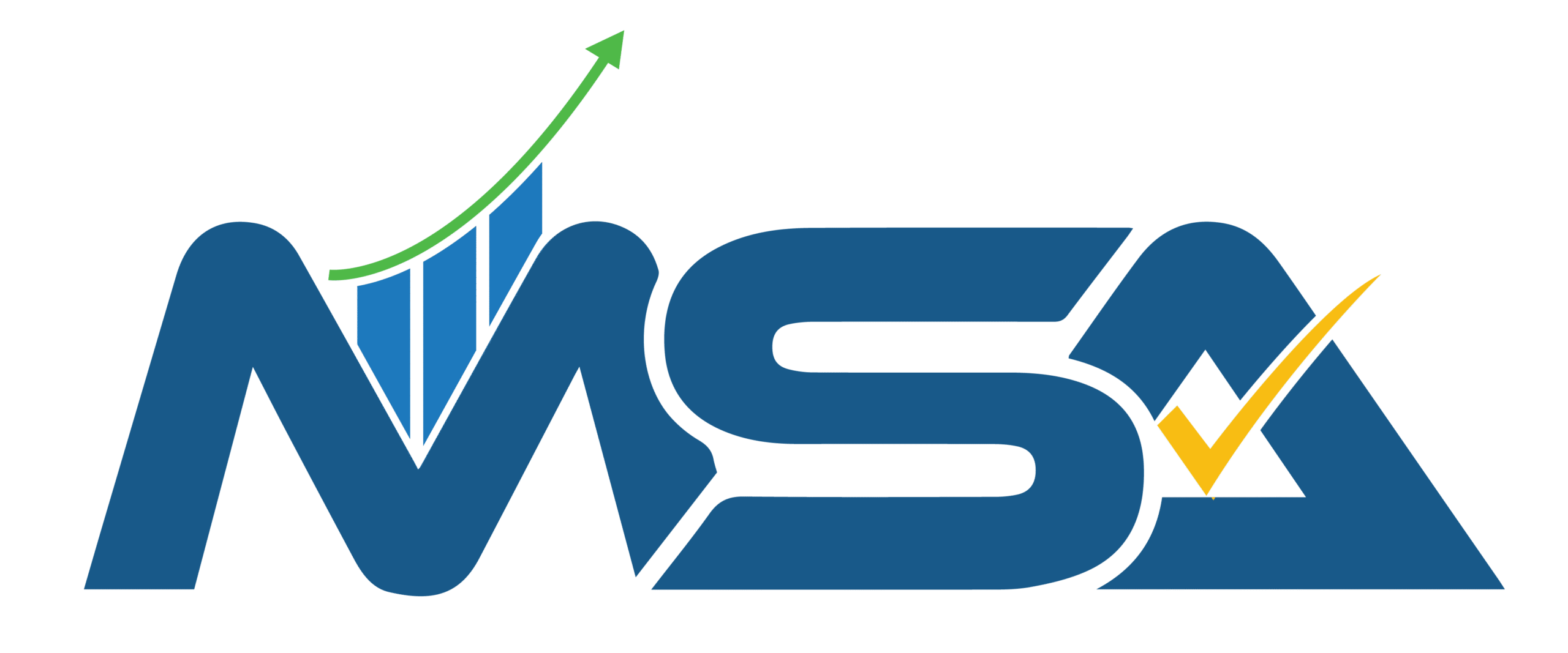 MSA Consulting Services LLP